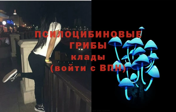PSILOCYBIN Балабаново