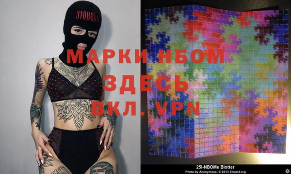 хмурый Белокуриха