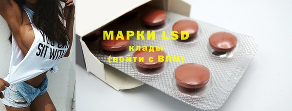 хмурый Белокуриха