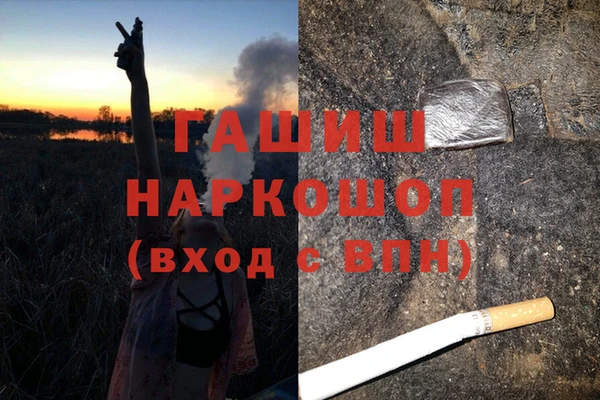 хмурый Белокуриха