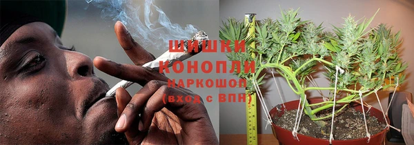 PSILOCYBIN Балабаново