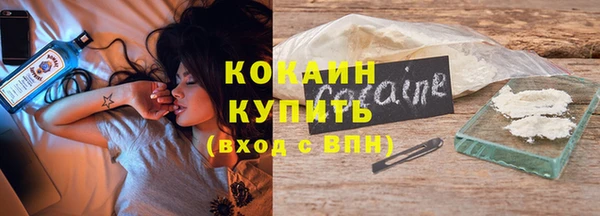 хмурый Белокуриха