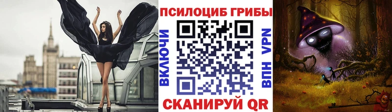 Галлюциногенные грибы мицелий  Кузнецк 
